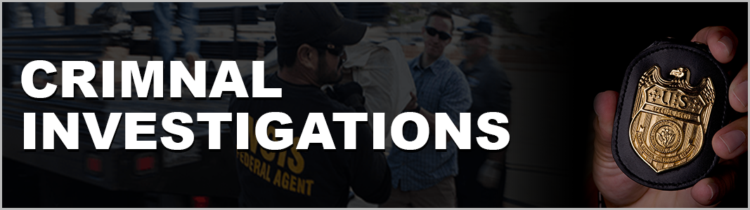 Criminal Investigations